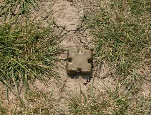 vakcinacia lišok proti besnote na kysuciach